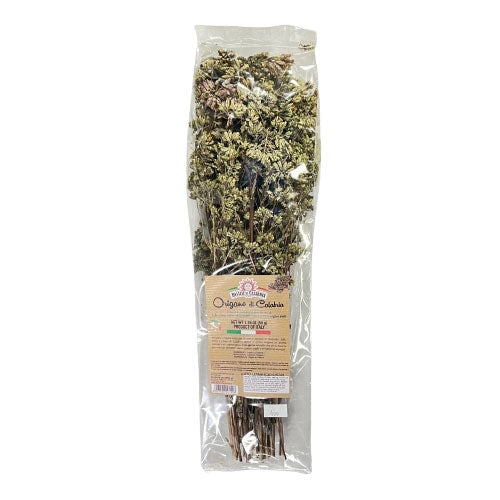 Oregano im Bund